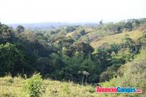Se ‪#‎vende‬ 1.5 ‪#‎hectáreas‬ en ‪#‎Sortoba‬, Chiriquí, Pan