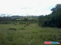 Terreno de 19 hectareas en Soná de Veraguas