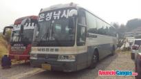 Autobuses Segunda Mano Directamente de Corea